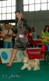 /album/vilagkiallitas-world-dog-show/mg-1170-copy-jpg/